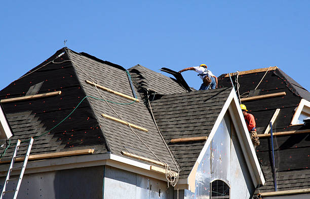 Best Steel Roofing  in Crookston, MN